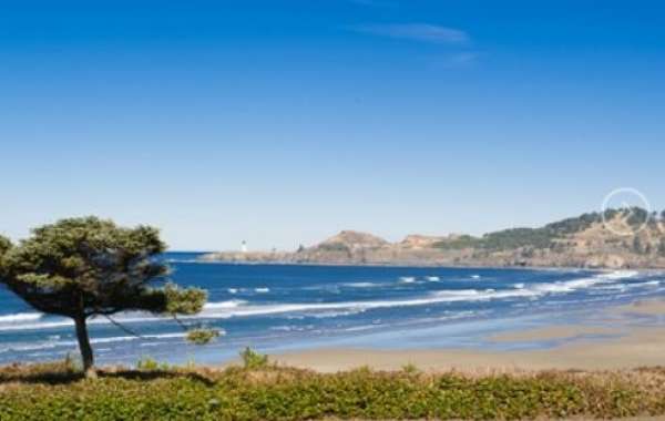 Beachfront Bliss: Your Guide to the Perfect Coastal Getaway with Oregon Beach Vacations