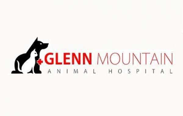 Providing Top-tier Emergency Care: Glenn Mountain Animal Hospital in Abbotsford