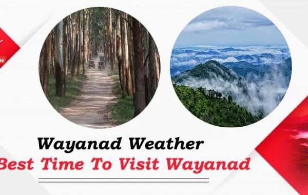 Exploring Wayanad: Finding the Best Time to Visit