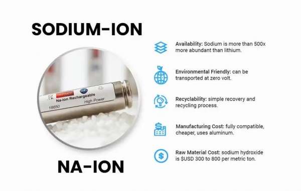 Exploring Challenges and Opportunities in Sodium-ion Battery Technology