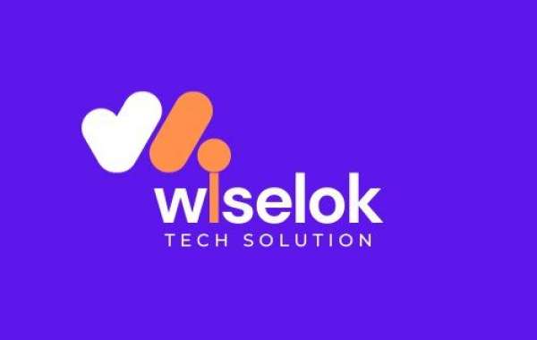 Web Development Company In Jaipur - Wiselok Tech Solution