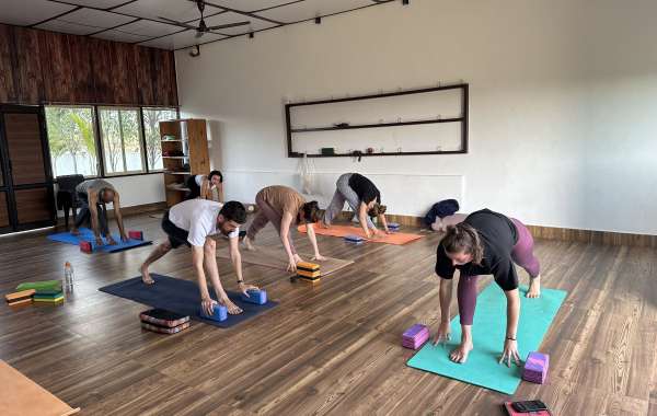 Best 100 Hours Yoga Teacher Training in India