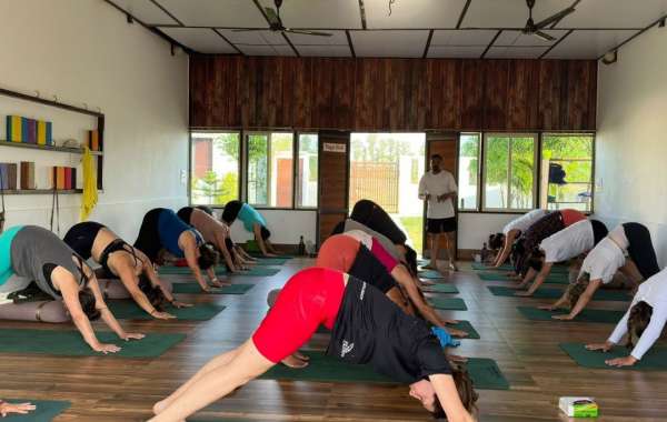 Best 200 Hours Yoga Teacher Training in Rishikesh, India