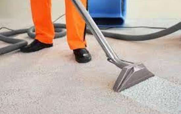 Why Investing in Carpet Cleaning is Investing in Your Family's Health