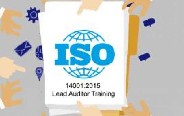 Mastering Environmental Management: Your Guide To ISO 14001 Training