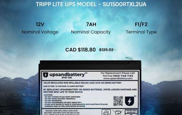 Demystifying the Lifespan of UPS Batteries: What You Need to Know