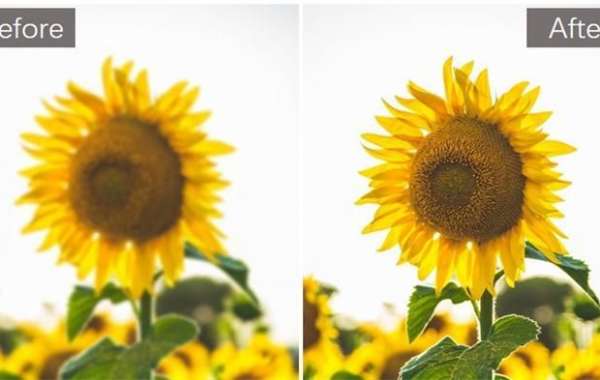  Enhancing Your Photos with AI: Remove Blur from Photo Effortlessly