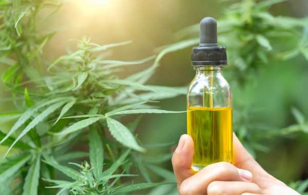 Unlock Wellness: Buy CBD Oil Today!