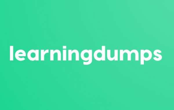 From Novice to Expert Navigating Learning Dumps