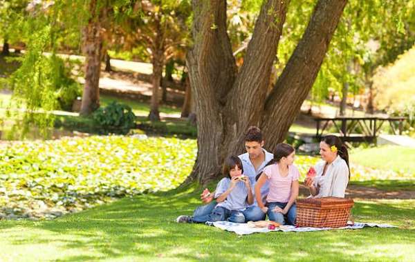 The Joy of Family Picnics: A Tradition of Togetherness