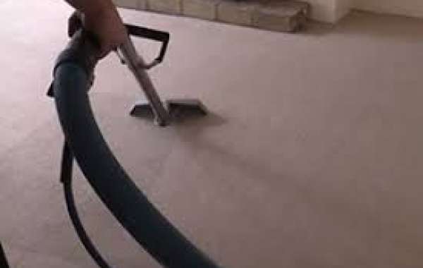 Why Every Home Needs Regular Professional Carpet Cleaning