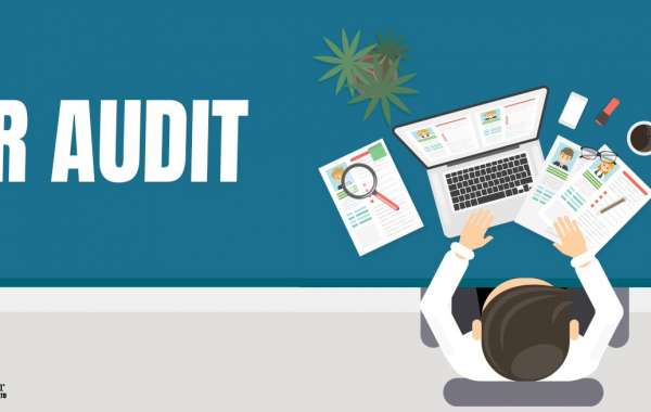 What is the process of an HR audit?