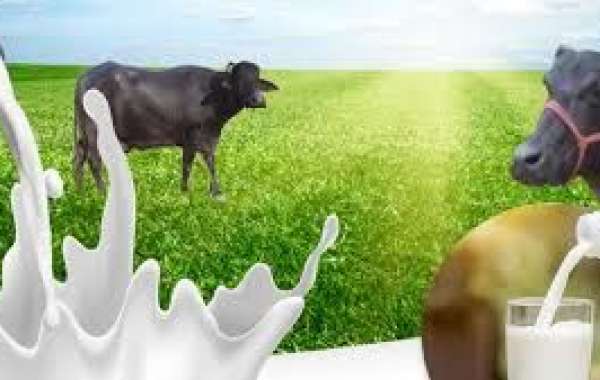 WellHealthorganic Buffalo Milk Tag: Your Path To Wellness