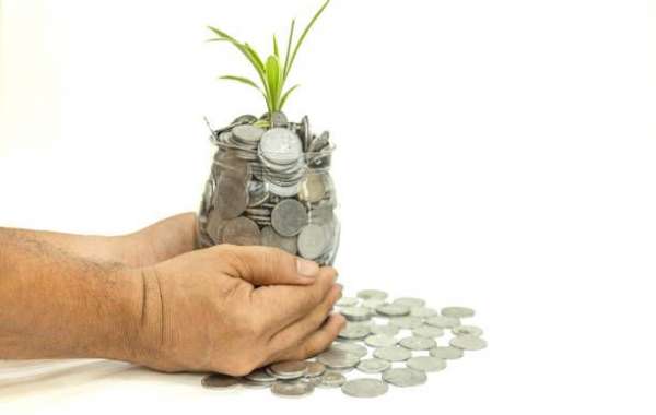 How can investors choose the right mutual fund for their investment goals in India?