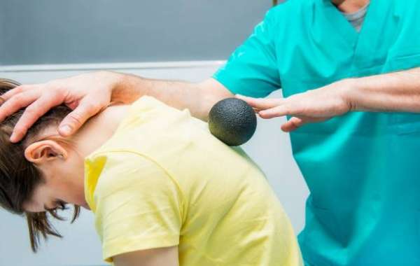 Navigating Spinal Health: Unveiling the Top-Rated Chiropractor in Auckland