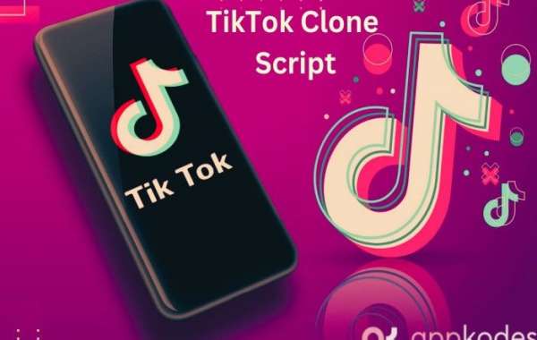 Turn Your Vision into Reality with Our TikTok Clone