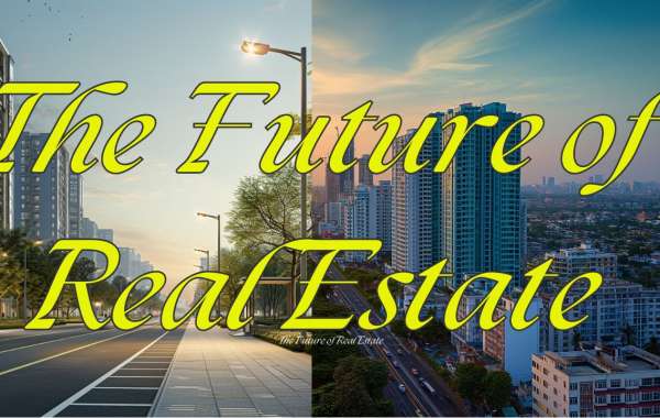 The Future of Real Estate: Insights from Bigestate Network