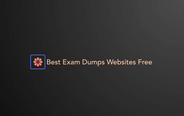 How Free Exam Dumps Websites Can Accelerate Your Learning Process