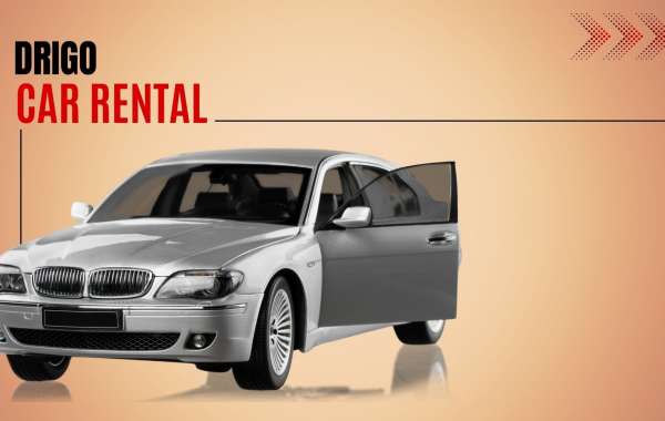 How to Navigate Insurance Options When Renting a Car?