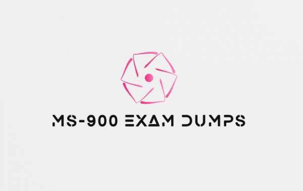 Microsoft MS-900 Exam Dumps: Your Journey to Success