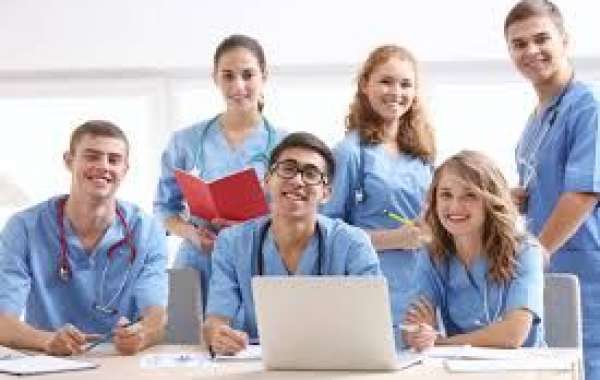 Exploring the Best Paper Writing Services and Online Class Help in the USA