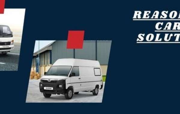 Reasonable Cargo Solutions for Private Ventures in India