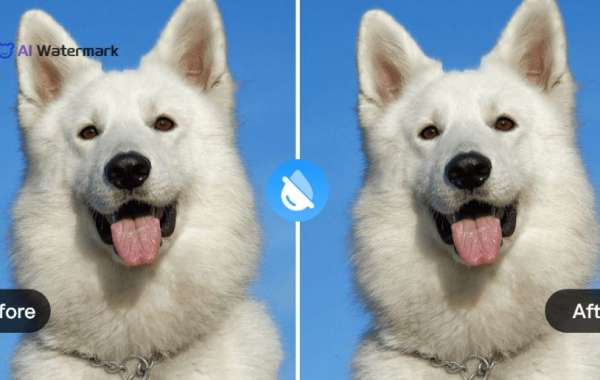 Unlocking the Power of AI: How to Remove Watermark from Image with AI