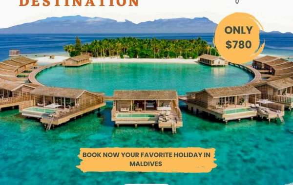 Maldives Marine Life Marvels: Conservation and Encounter