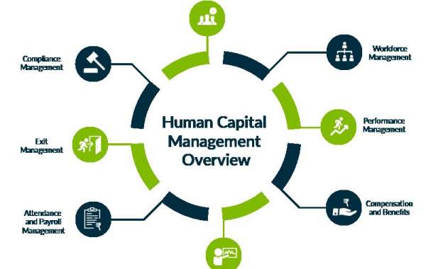 Human Capital Management Market: Global Forecast over 2024 - 2032