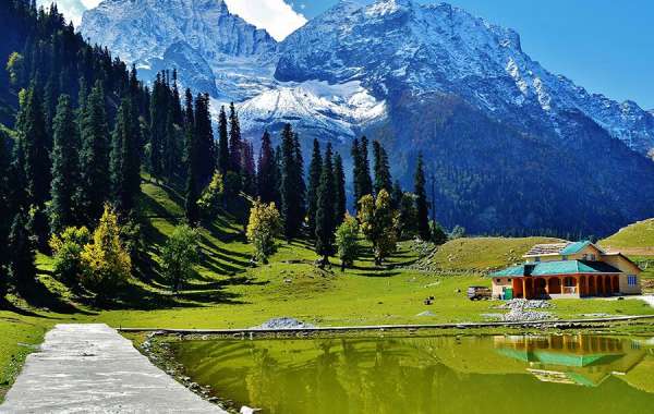Tourist Places in Jammu and Kashmir to Visit in 2024!