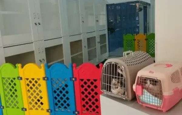 Experience Luxury and Care: Discovering Tree Pet Salon's Best Pet Boarding Services in Sharjah