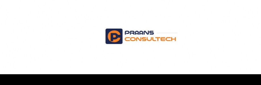 praansconsultech Cover Image