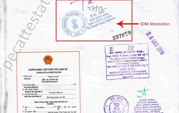 Understanding SDM Attestation for Birth and Marriage Certificates: Key Points