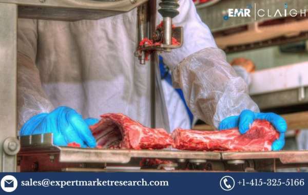 Meat Processing Equipment Market Outlook 2024-2032: Trends, Key Players, and Growth Opportunities