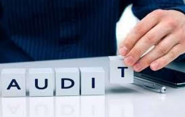 Audit Services Enhancing Strategic Business Expansion and Compliance