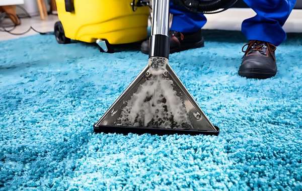 Why Carpet Cleaning is Essential for Pet Owners