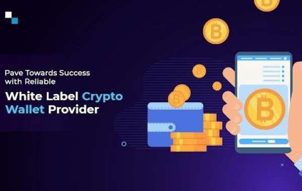 Tips to Choose a Trustworthy White Label Crypto Wallet Provider
