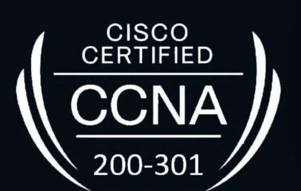 Step Into the Networking World with CCNA Classes in Pune