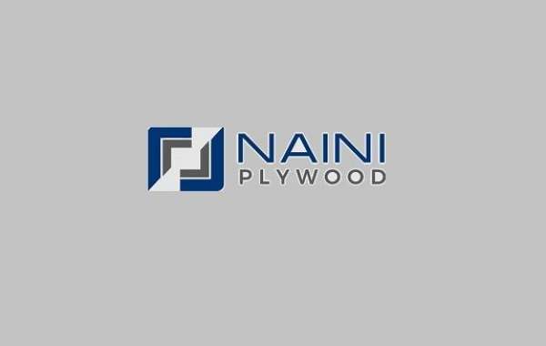 Best Plywood Manufacturer in Uttar Pradesh