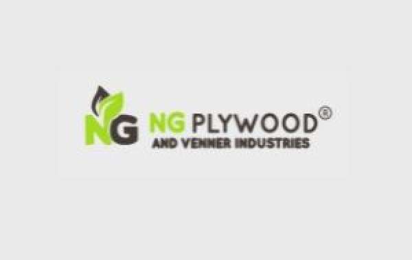 Manufacturers And Supplier of Plywood