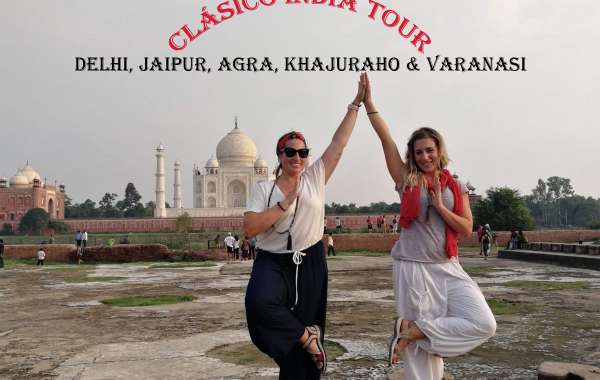 Art of Travel: Agencia de viajes líder en la India