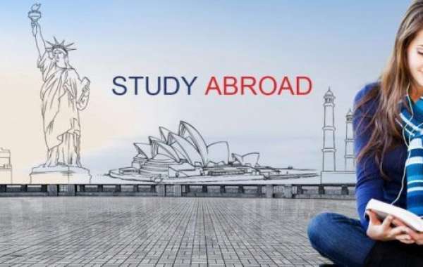 Top Study Abroad Consultants in Calicut and Your Path to Global Education
