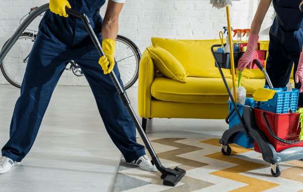 Expert Carpet Cleaning: A Necessity for Every Home