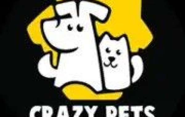 Crazy Pets in Al Ain: Expert Pet Grooming Services