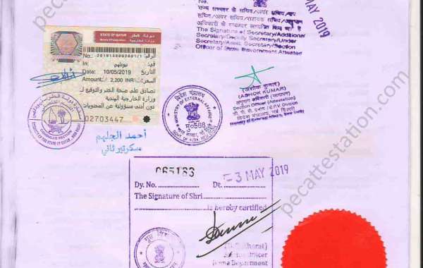 Guide To Your Educational Document Attestation Services in Qatar