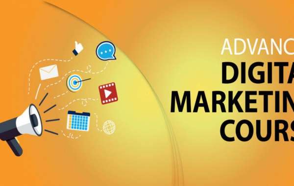 Top Reasons to Enroll in a Digital Marketing Course in Patna in 2024