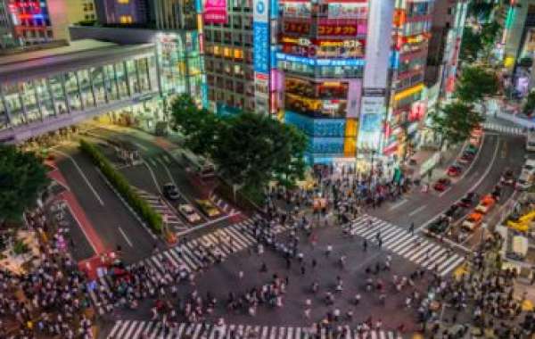 Tokyo Private Tours: Explore the City Like a VIP