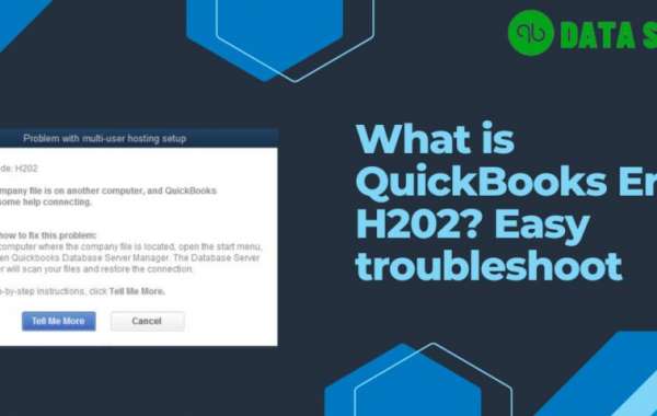 Understanding and Resolving QuickBooks Error H202