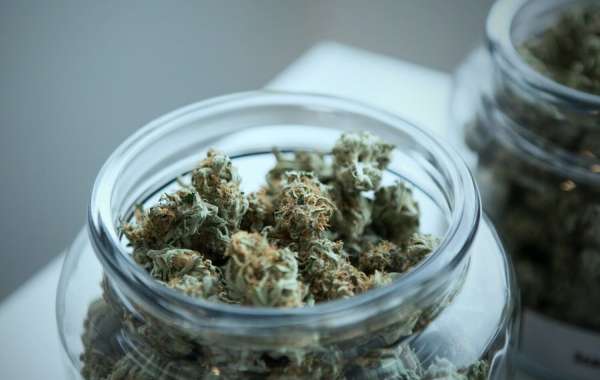 Smart Tips for Storing Weed: Keep Your Cannabis Fresh and Potent