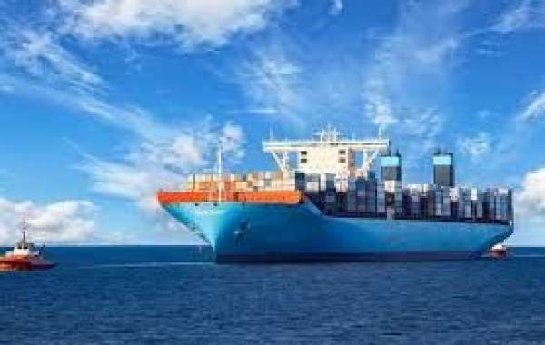 Maritime Freight and Chartering